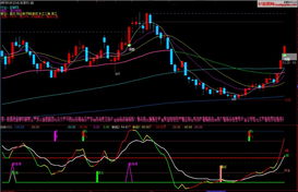 精品玩轉KDJ軟件開發指南